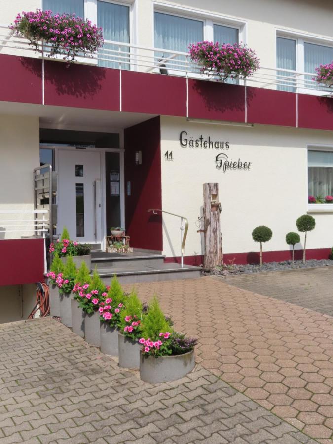 Gaestehaus Spieker Horn-Bad Meinberg Εξωτερικό φωτογραφία