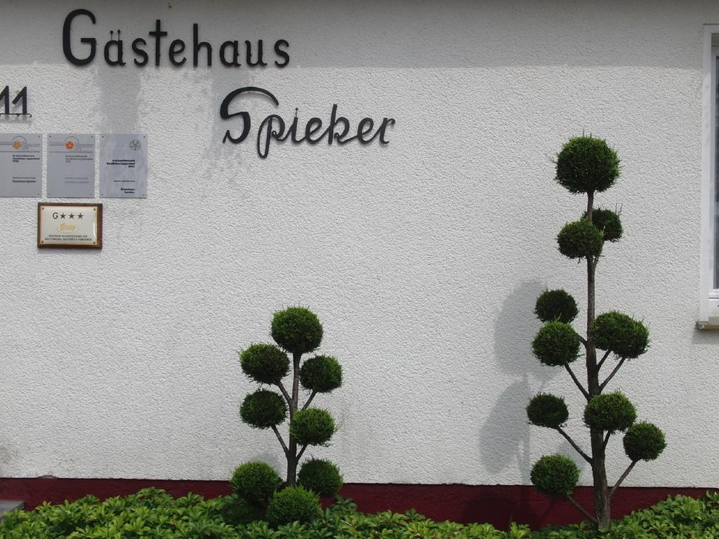 Gaestehaus Spieker Horn-Bad Meinberg Εξωτερικό φωτογραφία